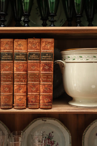 Decorative antique encyclopedias in leather with marbled papers – perfect for styling or library display