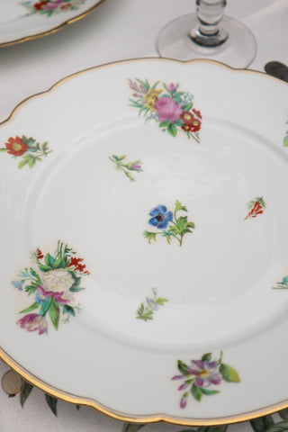 Floral & Gilt Dinner Plates
