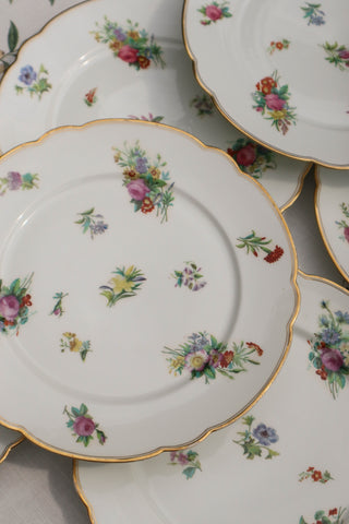 Floral & Gilt Dinner Plates