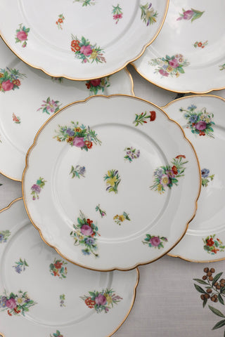 Floral & Gilt Dinner Plates