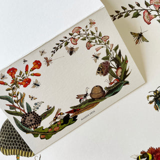 Insect and botanical sketch menu cards on off-white card, set of six