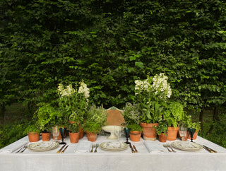 Antique table setting with green glasses and terracotta pots filled with flowers 