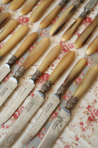 FRENCH BLONDE HORN KNIFE SET - 24 PIECES