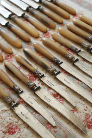 FRENCH BLONDE HORN KNIFE SET - 24 PIECES
