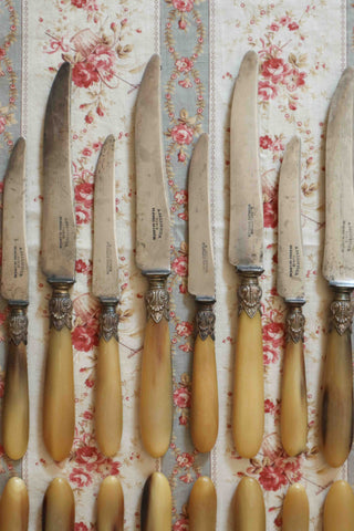 FRENCH BLONDE HORN KNIFE SET - 24 PIECES