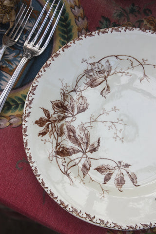 Amber Botanical Dinner Plates