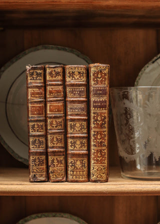 18th C. French Leather Book - Set of 4