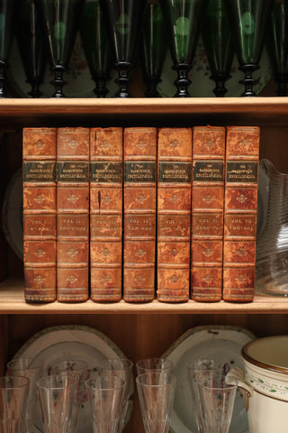 Large Antique Leather Decorative Books - Set of 7