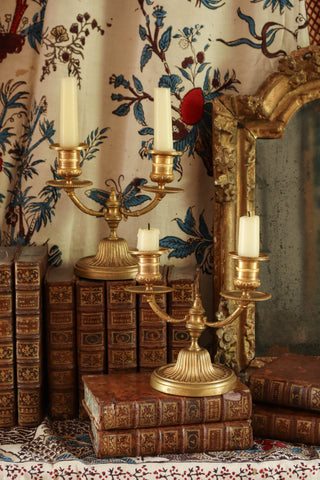 19th C. French Gilded Bronze Candelabra