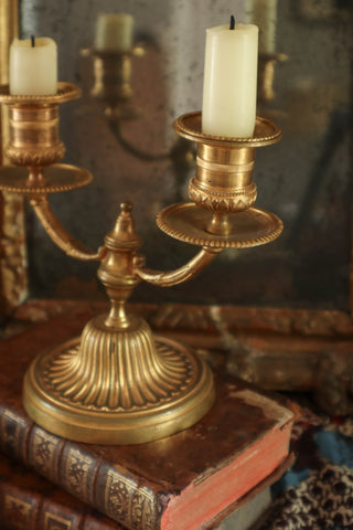 19th C. French Gilded Bronze Candelabra