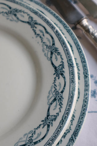 Blue Floral Dinner Plates