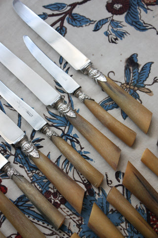 ACANTHUS & HORN KNIFE SET - 24 PIECES